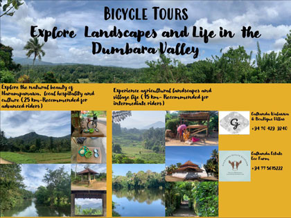 Bicycle Tour